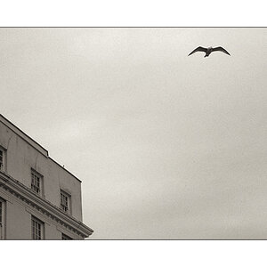 Tenby02