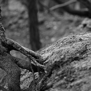 DSC 0793sw web