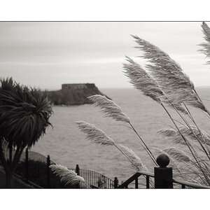 Tenby05
