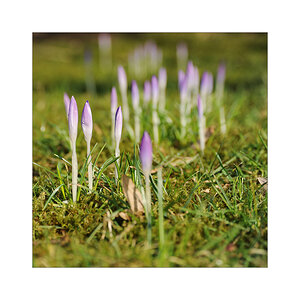 garten2