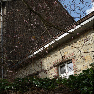 20frühling