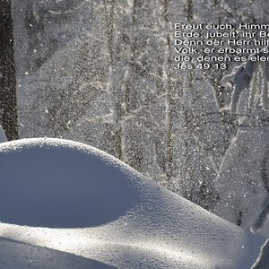13 Dezember