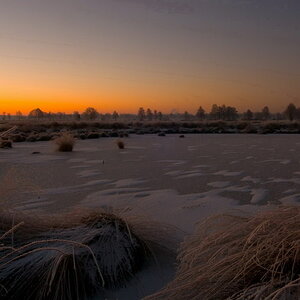 Sonnenaufgang im Moor 003