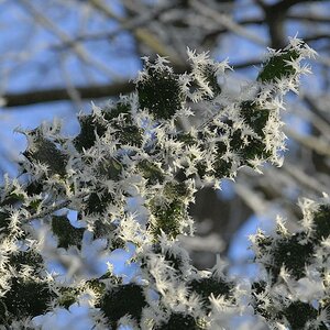 Winterlandschaft Fedkante 001