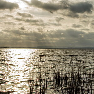 2014 01 08 Steinhuder Meer  (1a von 223)