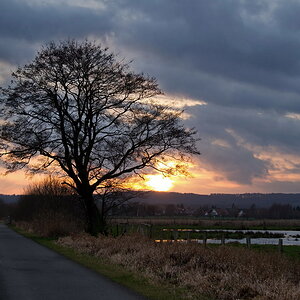2014 01 08 Steinhuder Meer  (157a  von 223)