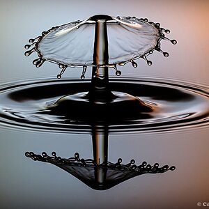 20140303 DSC 0096nf