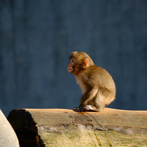 20070203 160642 Bild