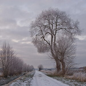 Winterlandschaft Fedkante 004