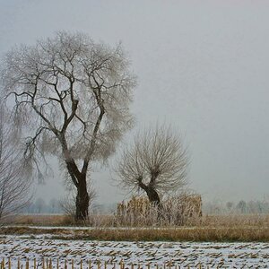 Winterlandschaft Fedkante 006
