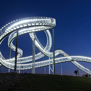 Tiger+Turtle