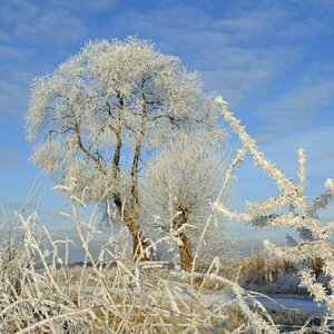 Winterlandschaft Fedkante 011