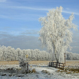 Winterlandschaft Fedkante 014