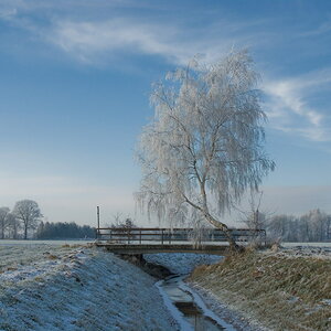 Winterlandschaft Fedkante 015