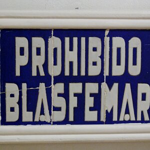 laballena08 63