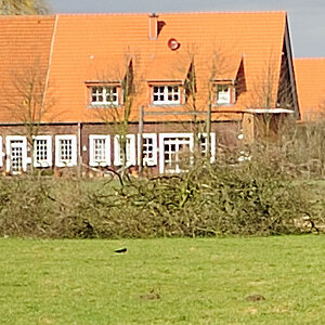 20090311 7901 [D700]   F1,8 35,00mm Crop ungeschärft 1