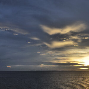 sunrise dondra head