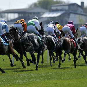 20090413 132613 Galopp Muenchen  01