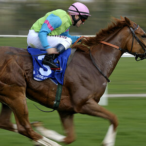 20090413 152435 Galopp Muenchen