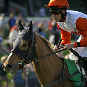20090413 155053 Galopp Muenchen  01