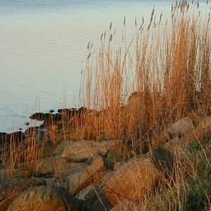 Blick aufs Meer