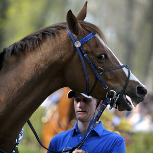 20090413 161843 Galopp Muenchen