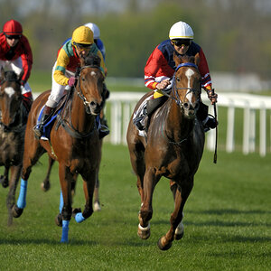 20090413 163157 Galopp Muenchen  05