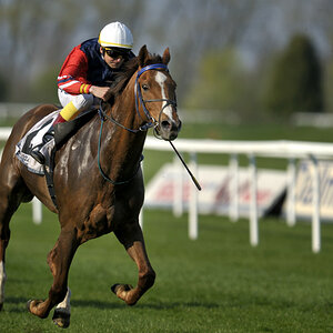 20090413 163159 Galopp Muenchen  01