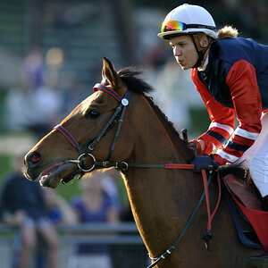 20090413 170107 Galopp Muenchen
