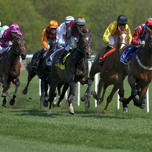 20090413 132608 Galopp Muenchen