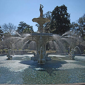 brunnen savannah