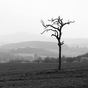 c Abenddunst 4188