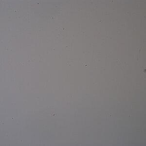 Sensor vor Reinigung