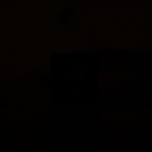 DSC 0001a