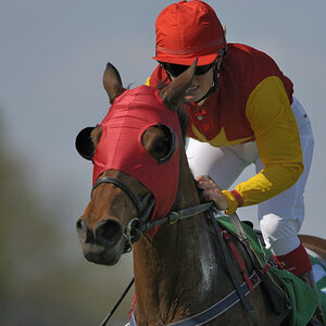 20090413 145038 Galopp Muenchen