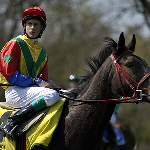 20090413 125151 Galopp Muenchen
