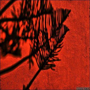 Schatten forum