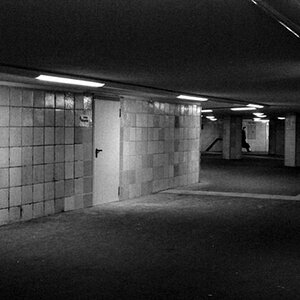 DSC 3202 Kopie