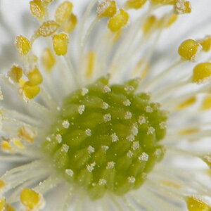 Bild 09k