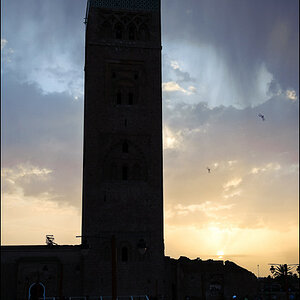 20090313 JW 003