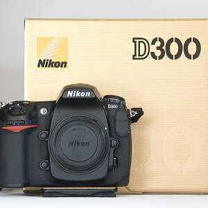 D300