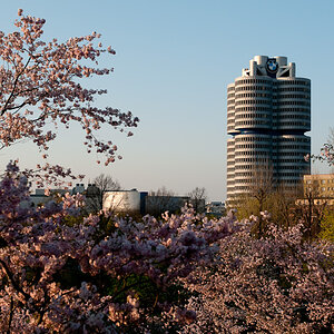 BMW im Frühling