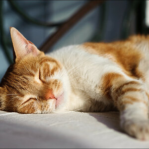 20090315 JW 420