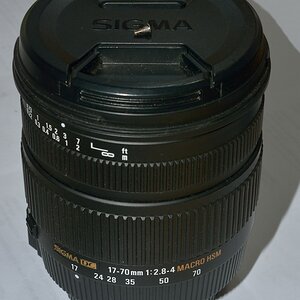 DSC 8167