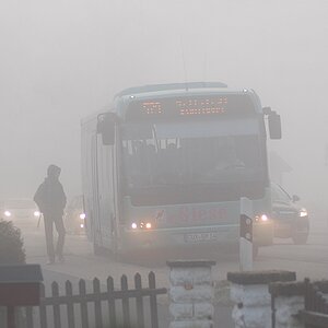 Nebel auch heute 022