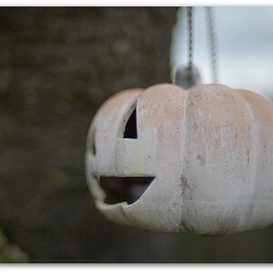 MNE 2080, 20140219
D800 Ai-S 35mm f1,4