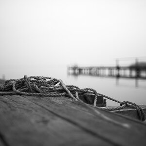 strings