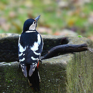DSC 9789 khg