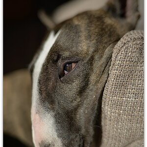 MNE 2093, 20140220
D800 Ai-S 35mm f1,4 bei 2,0