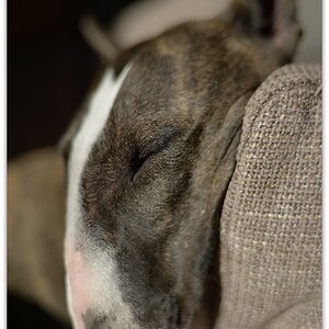 MNE 2098, 20140220
D800 Ai-S 35mm f1,4 bei 2,0
